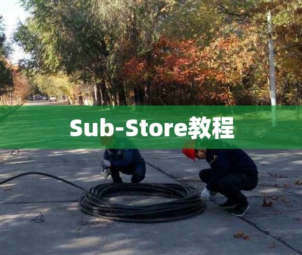 Sub-Store教程 Sub-Store教程