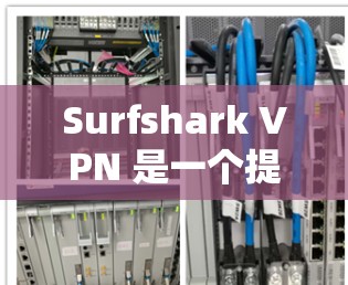 Surfshark VPN 是一个提供加密连接的VPN服务，旨在保护您的网络和数据。要进行安全连接，以下是一些关键步骤和建议