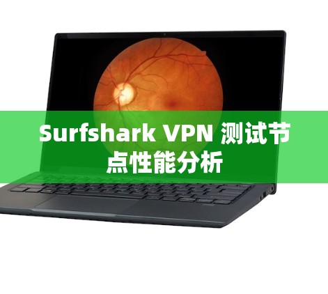 Surfshark VPN 测试节点性能分析 Surfshark VPN 测试节点性能分析