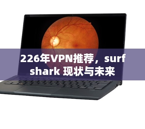 226年VPN推荐，surfshark 现状与未来