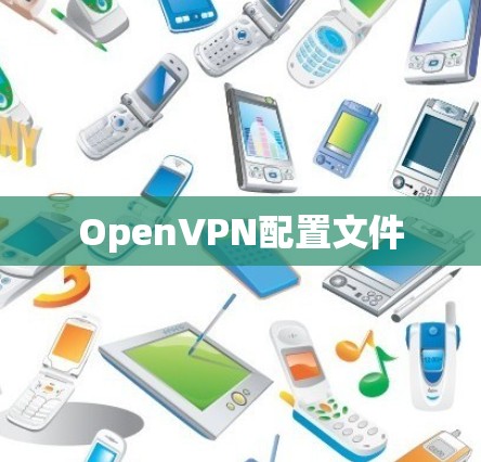 OpenVPN配置文件