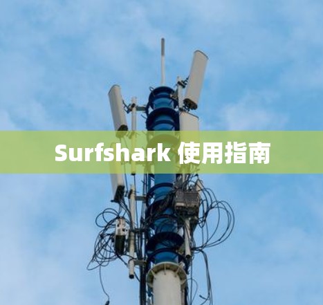 Surfshark 使用指南