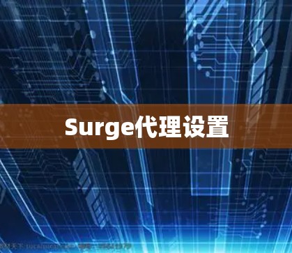 Surge代理设置