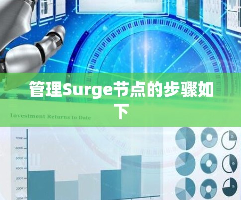 管理Surge节点的步骤如下