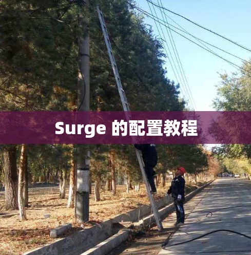 Surge 的配置教程 Surge 的配置教程