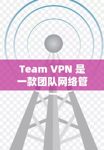 Team VPN 是一款团队网络管理工具，专为团队视频解决方案提供网络VPN服务。以下是对 Team VPN 的评测