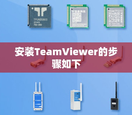安装TeamViewer的步骤如下