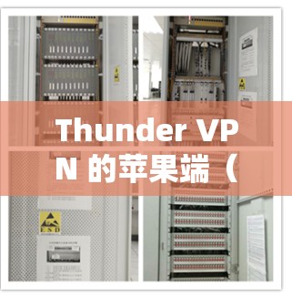 Thunder VPN 的苹果端（iOS版）确实没有直接的功能，但可以通过以下步骤来实现类似功能