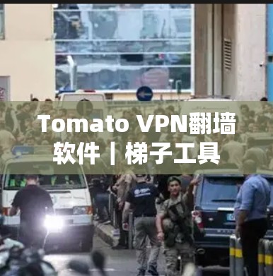 Tomato VPN翻墙软件｜梯子工具