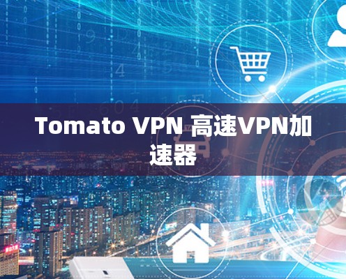 Tomato VPN 高速VPN加速器