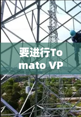 要进行Tomato VPN节点的网络速度测试，可以按照以下步骤进行