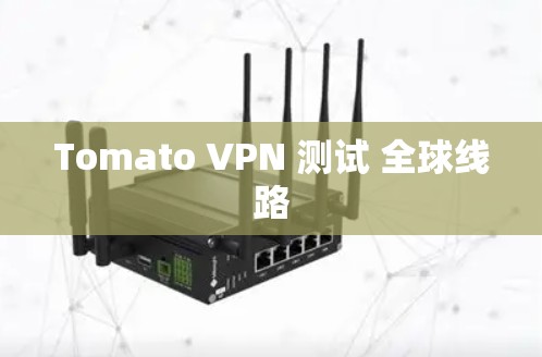 Tomato VPN 测试 全球线路 Tomato VPN 测试 全球线路
