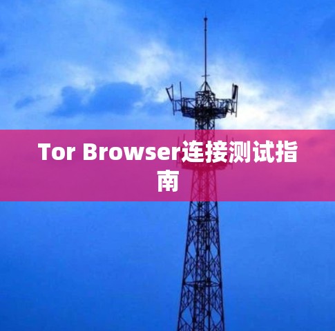 Tor Browser连接测试指南 Tor Browser连接测试指南