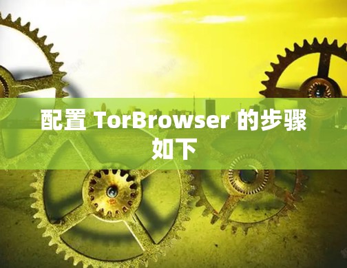 配置 TorBrowser 的步骤如下