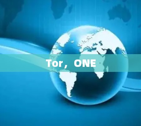 Tor，ONE
