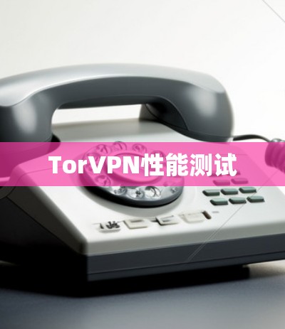 TorVPN性能测试 TorVPN性能测试