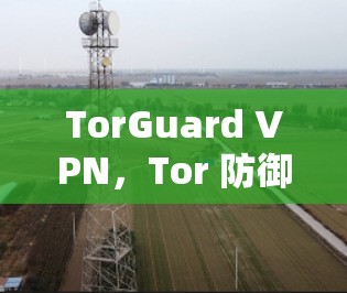 TorGuard VPN，Tor 防御VPN客户端，安全又高效