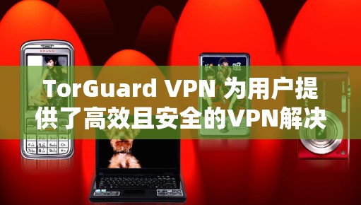 TorGuard VPN 为用户提供了高效且安全的VPN解决方案,专为隐私保护而设计,帮助用户更好地控制网络流量 TorGuard VPN 为用户提供了高效且安全的VPN解决方案,专为隐私保护而设计,帮助用户更好地控制网络流量