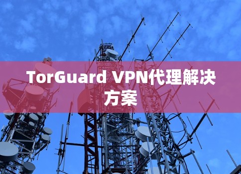 TorGuard VPN代理解决方案 TorGuard VPN代理解决方案