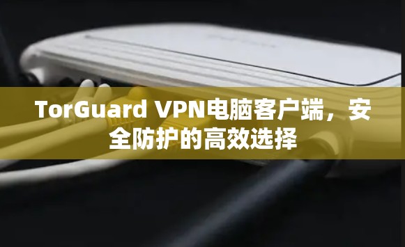 TorGuard VPN电脑客户端,安全防护的高效选择 TorGuard VPN电脑客户端,安全防护的高效选择