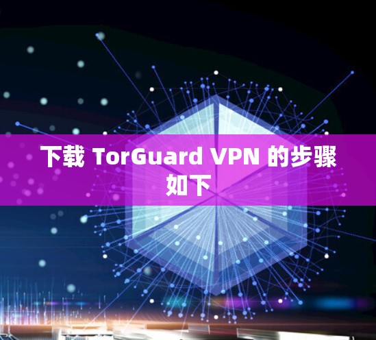 下载 TorGuard VPN 的步骤如下