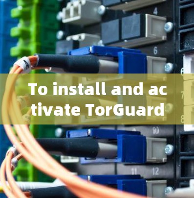 To install and activate TorGuard VPN on your computer,follow these organized steps: To install and activate TorGuard VPN on your computer,follow these organized steps: