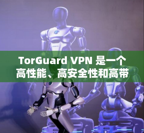 TorGuard VPN 是一个高性能、高安全性和高带宽的VPN解决方案。以下是关于 TorGuard VPN 的详细信息，帮助您更好地理解和使用该软件