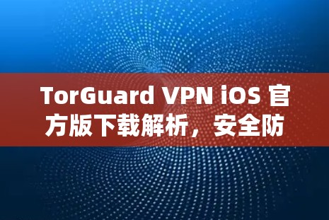TorGuard VPN iOS 官方版下载解析，安全防护与便捷功能并存