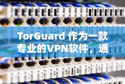 TorGuard 作为一款专业的VPN软件，通常会在官方渠道提供 Mac版下载。然而，由于 TorGuard 的最新版本可能尚未在所有平台上推出，具体情况可能会因软件更新而变化