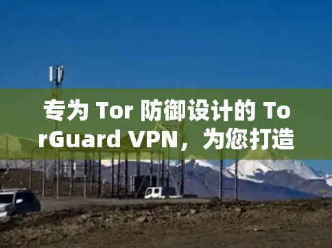 专为 Tor 防御设计的 TorGuard VPN，为您打造安全、高效、易用的 Tor 盆局访问工具
