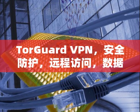 TorGuard VPN,安全防护,远程访问,数据安全 TorGuard VPN,安全防护,远程访问,数据安全