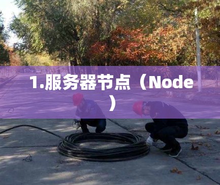 1.服务器节点(Node) 1.服务器节点(Node)