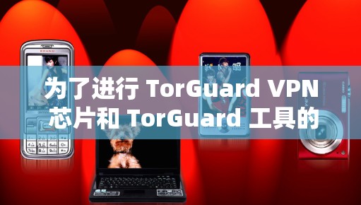 为了进行 TorGuard VPN 芯片和 TorGuard 工具的连接检测,您可以按照以下步骤进行 为了进行 TorGuard VPN 芯片和 TorGuard 工具的连接检测,您可以按照以下步骤进行