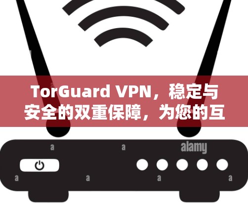 TorGuard VPN,稳定与安全的双重保障,为您的互联网保驾护航 TorGuard VPN,稳定与安全的双重保障,为您的互联网保驾护航
