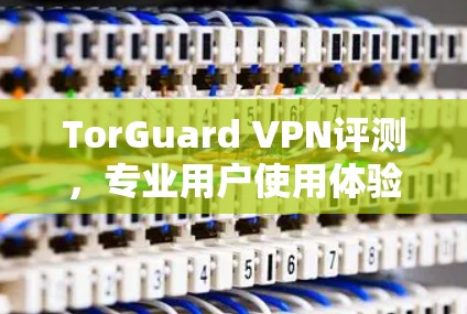 TorGuard VPN评测,专业用户使用体验 TorGuard VPN评测,专业用户使用体验