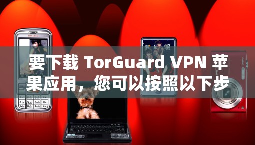 要下载 TorGuard VPN 苹果应用,您可以按照以下步骤操作 要下载 TorGuard VPN 苹果应用,您可以按照以下步骤操作