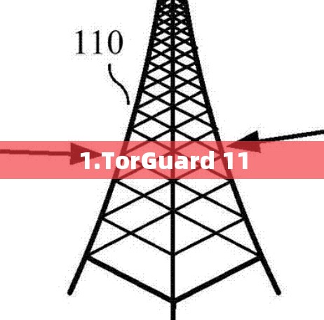 1.TorGuard 11 1.TorGuard 11