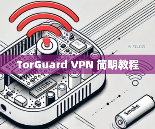 TorGuard VPN 简明教程 TorGuard VPN 简明教程