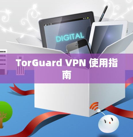 TorGuard VPN 使用指南 TorGuard VPN 使用指南