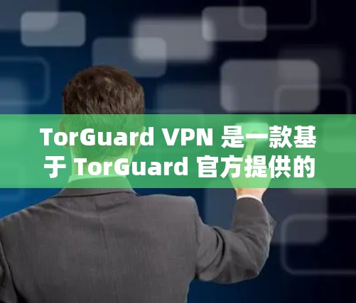 TorGuard VPN 是一款基于 TorGuard 官方提供的加密协议和功能的 VPN 服务。如果您对 TorGuard 的稳定性感兴趣，可以从以下几个方面了解