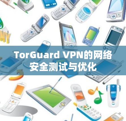 TorGuard VPN的网络安全测试与优化 TorGuard VPN的网络安全测试与优化