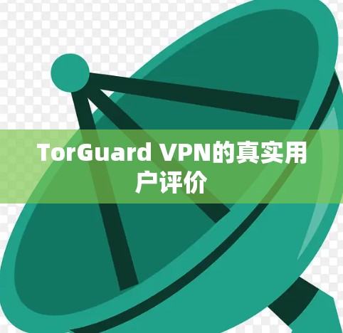 TorGuard VPN的真实用户评价 TorGuard VPN的真实用户评价