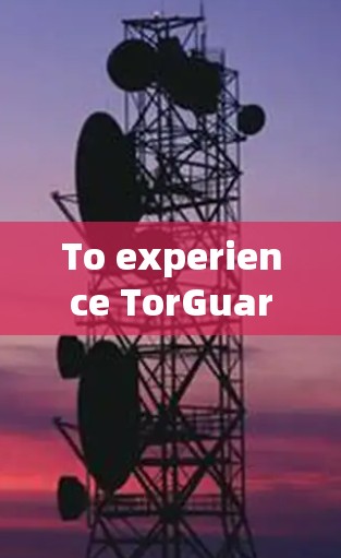 To experience TorGuard VPN,follow these organized steps and considerations: