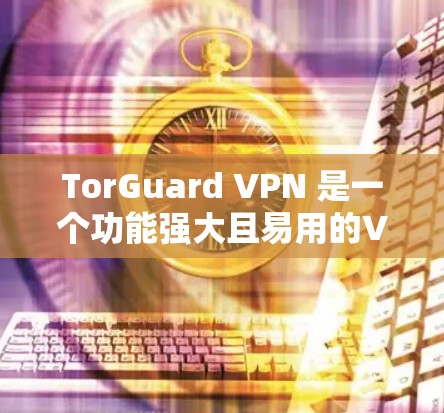 TorGuard VPN 是一个功能强大且易用的VPN应用，根据你的需求和预算，可以推荐以下几种版本，供你选择