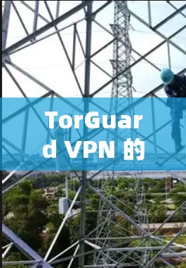 TorGuard VPN 的最新版本信息如下