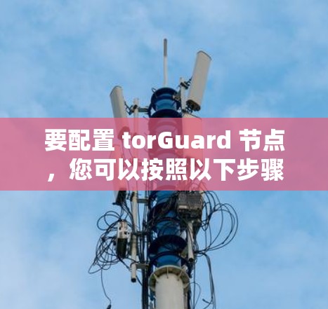 要配置 torGuard 节点,您可以按照以下步骤进行操作 要配置 torGuard 节点,您可以按照以下步骤进行操作