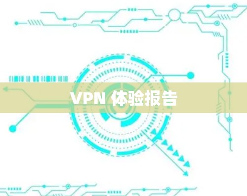 VPN 体验报告 VPN 体验报告