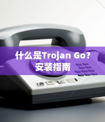 什么是Trojan Go？安装指南