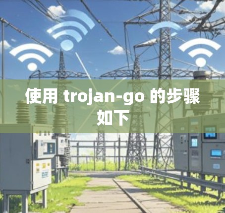 使用 trojan-go 的步骤如下