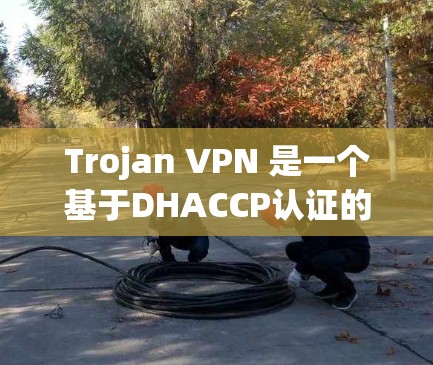 Trojan VPN 是一个基于DHACCP认证的VPN服务，提供多种加密协议，如 OpenVPN、VTT 和 IPsec。它支持多设备连接，设备管理也较为完善。以下是一些推荐的VPN平台，供您参考